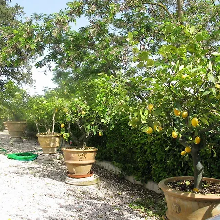 Vocabolo Palazzo 2* Solomeo